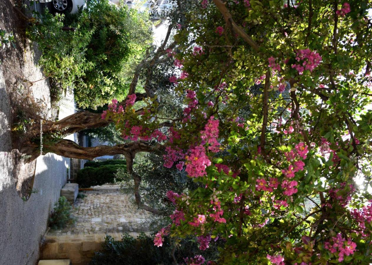 Chez Mamoudadou * Monteux
