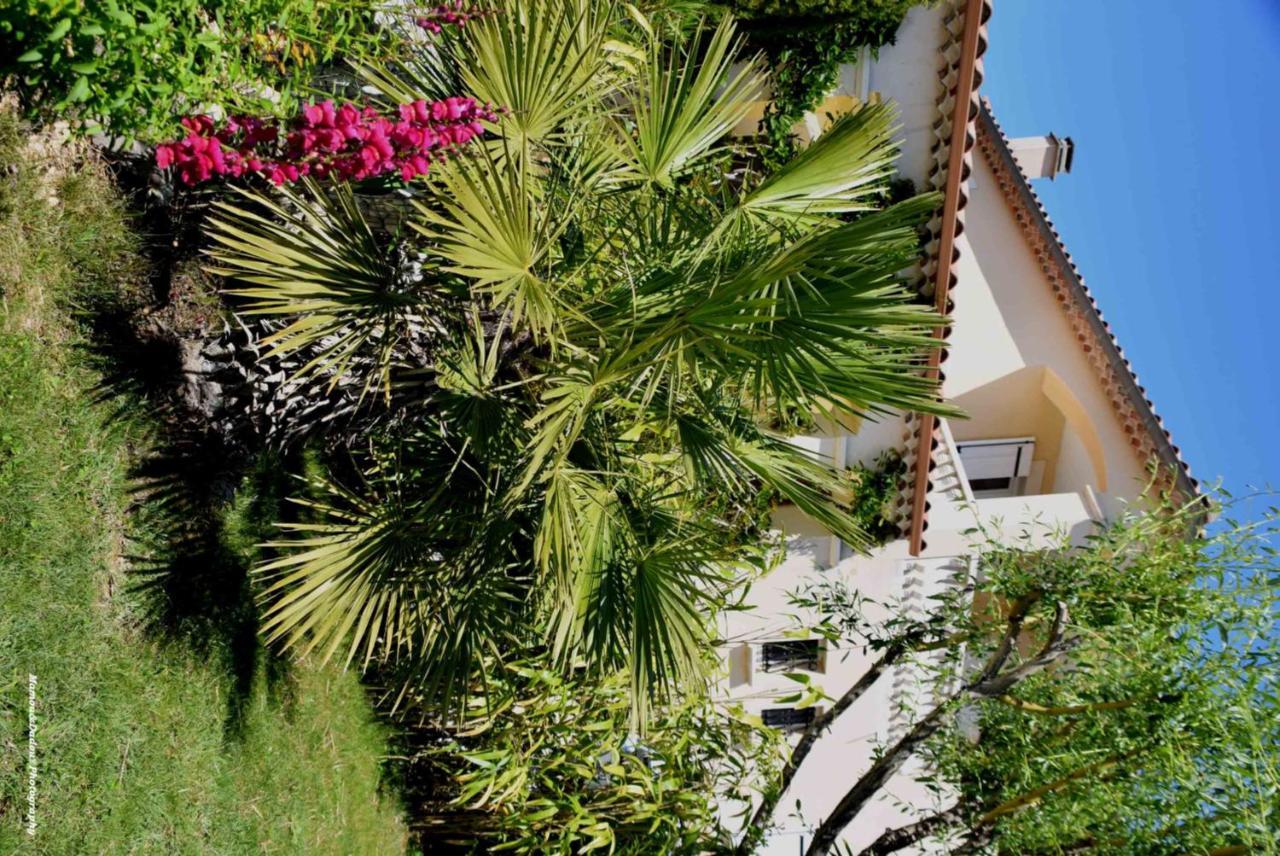 Appartement Chez Mamoudadou Monteux